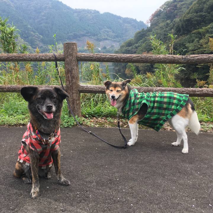 F835f895 4610 4654 98d5 825f4293e89a 1510967153748