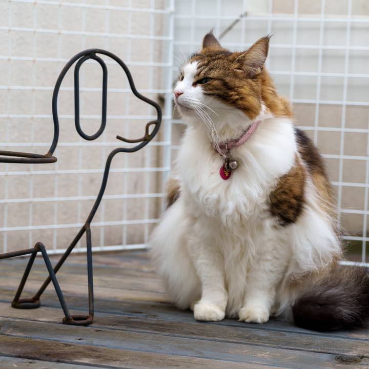 F835ff2e 8370 4c7c af72 2dee5b1cac1b 1731847777784