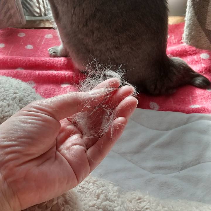 F83613ad c661 4d72 81cf c75ee55fabc1 1677888067410