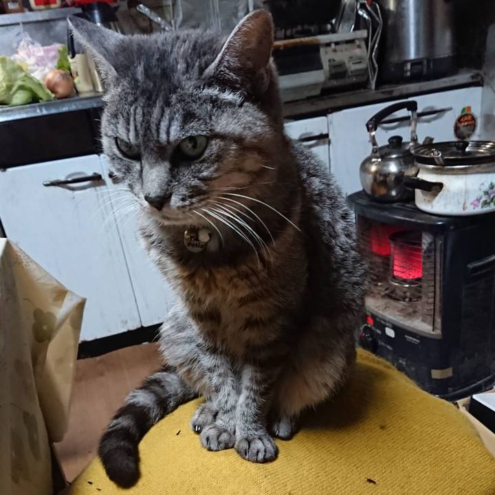 F8363a9a c8b1 490a afb4 d865c8a1cf94 1573642636322