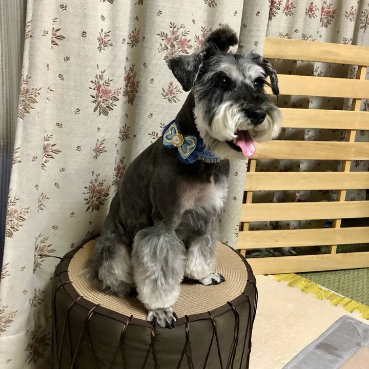 F8367938 406d 4e47 b789 5fb220ea23f9 1660129363887