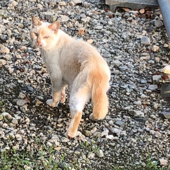 F8367b06 c69c 4a7b a804 3090449d9854 1560329789164