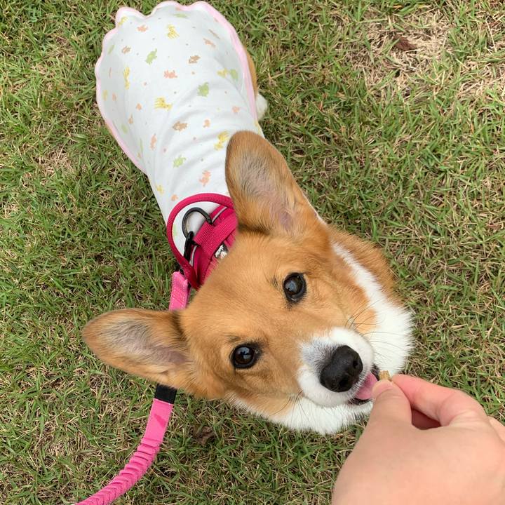 F836ae9c 7e15 4d79 bf48 701dc333825a 1603011160847