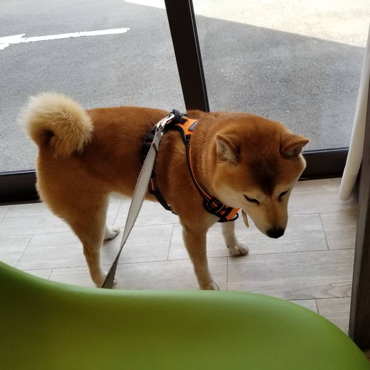 F836c12f 83f3 472c ae0a ccad735c0f34 1617343577773