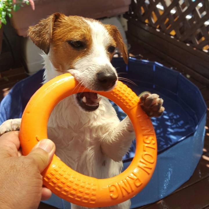 F836c78e 45ba 40f3 b1ce f3e1868b7a33 1565068396053