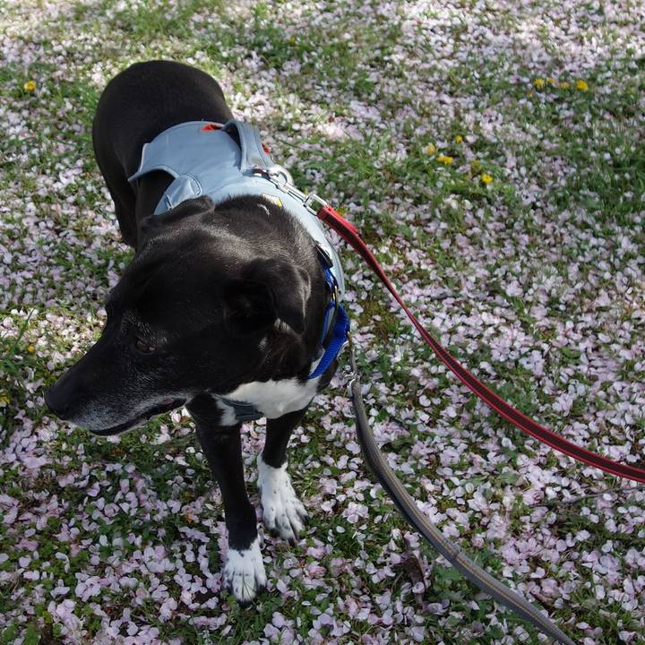 F836e916 e57b 4ab8 bfd2 6fc1faa1802e 1744417735232