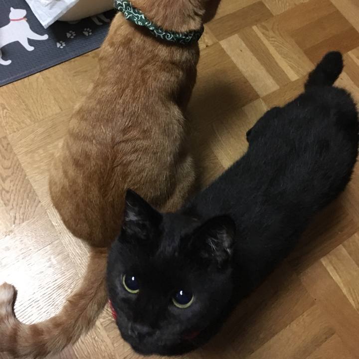 F836eddd 0542 4492 8334 9ab0f36f024b 1536067317903