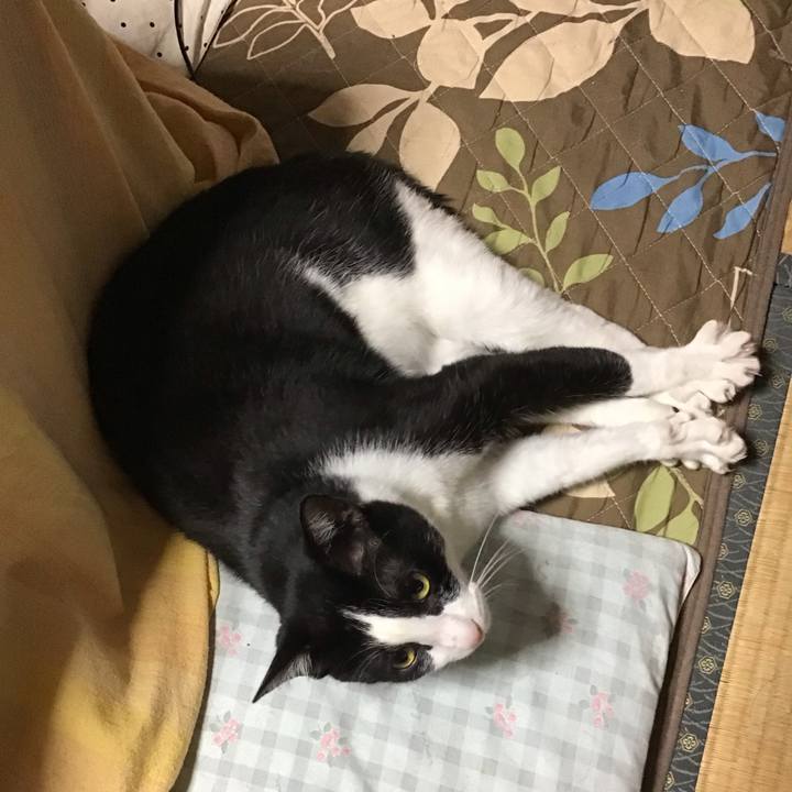 F8371bd2 d9c1 4abf a2b9 2ff39588d0ae 1685695255429