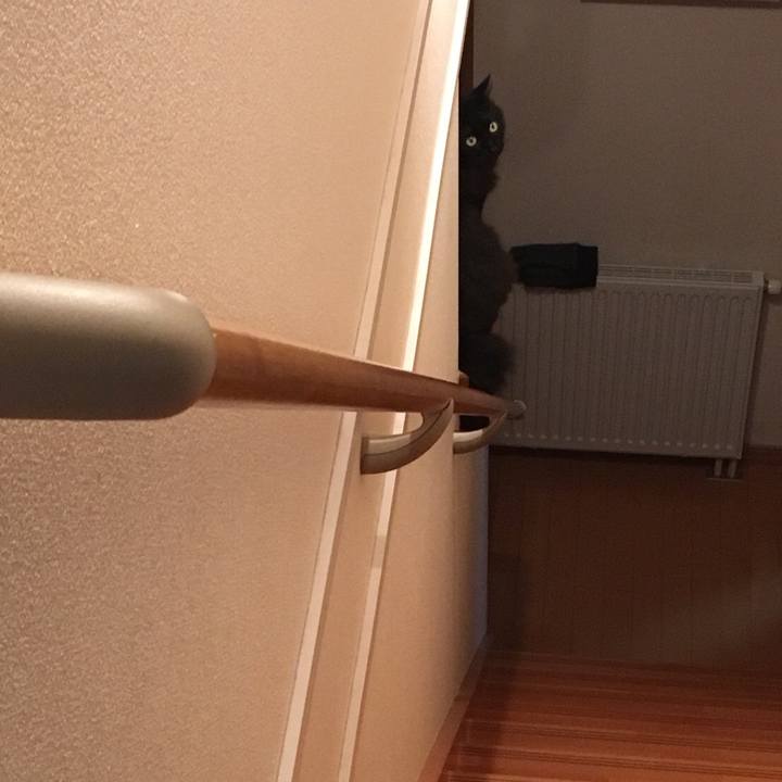 F8372a74 da59 4233 b4b9 c85f8ce0f246 1551276764892