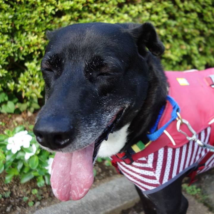 F8373f6c ca4e 4f05 a852 418858b1bf76 1688344798868