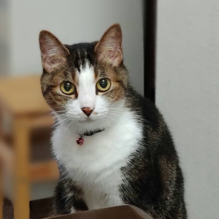 F8374cbd e58f 4b69 9fcd 42053bb4ebfd 1662095739412