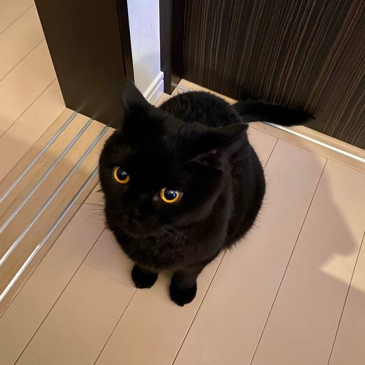 F8377e6c 0dc9 4422 bc8b 52445253478e 1724674484120