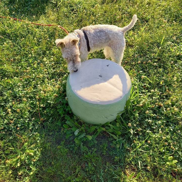 F83797a1 87a2 40c4 bf01 f01b10151235 1623365624655