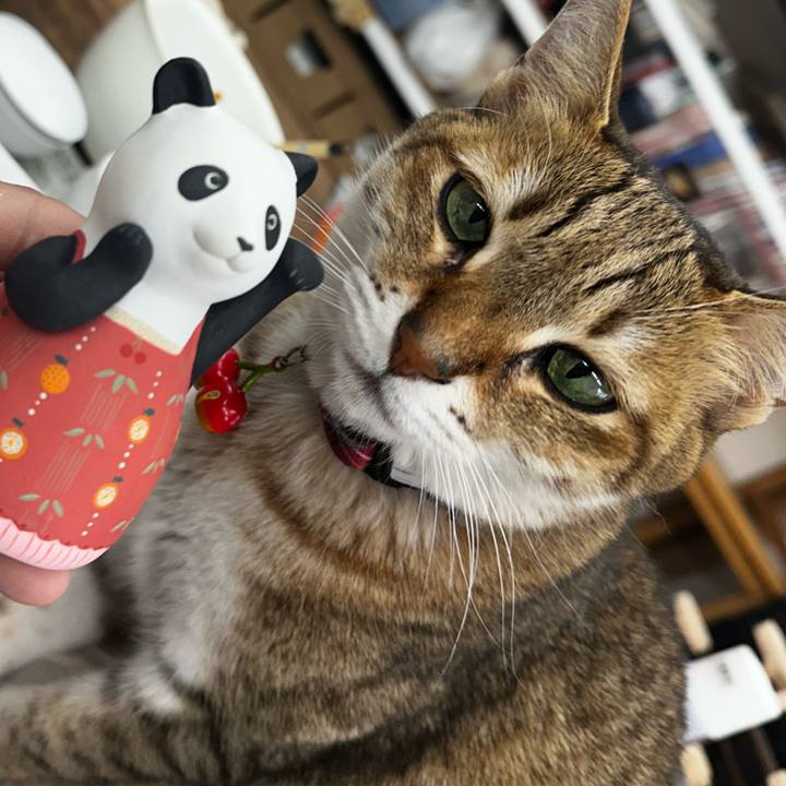 F837a338 fe6b 4091 a16a fbcd1c9b483c 1768883450064