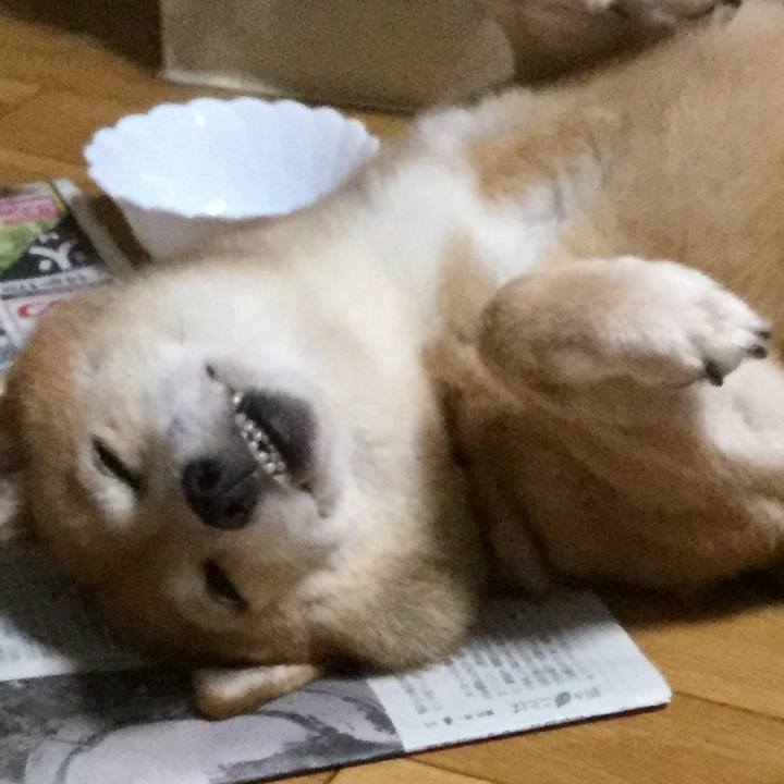 F837bc50 32c5 4aa5 bb4a 358400af9303 1594877042050