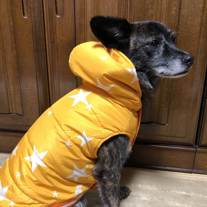 F837c3cb 668e 45d1 8eb1 39cef1b276ca 1601214942019