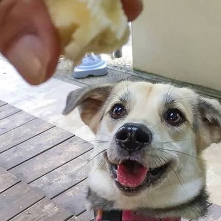 F837c625 9d3b 4dec b5fa e6b7aa583216 1546776155811