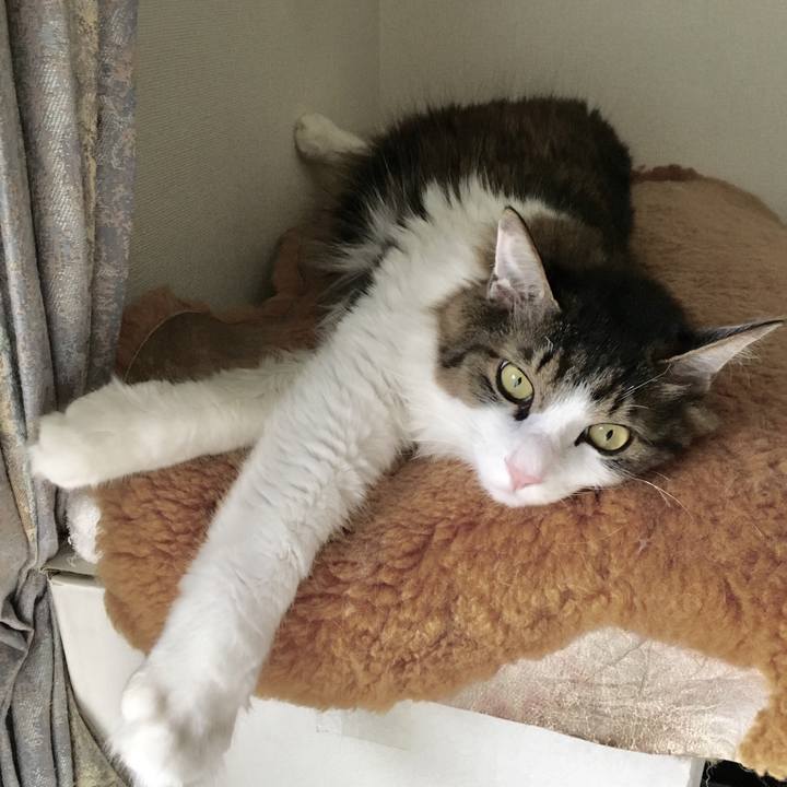 F83802c1 271a 4020 9702 94044e052ae7 1529755545702