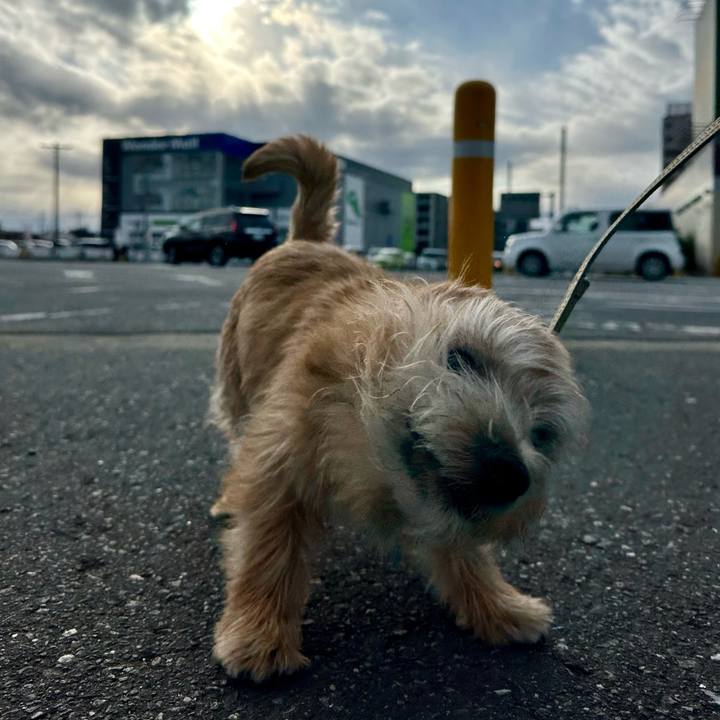 F8380478 e0d3 44bf b231 6705c5c4608f 1709381129003