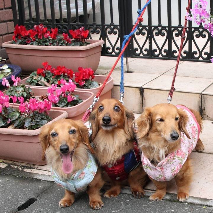 F83804bb 83e0 4568 b615 7baaba85af1c 1763294019524