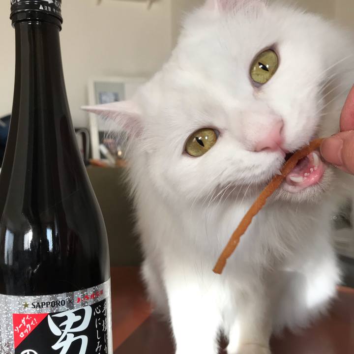 F838159f c21a 421d ab51 8836d1c8cea5 1551107205451