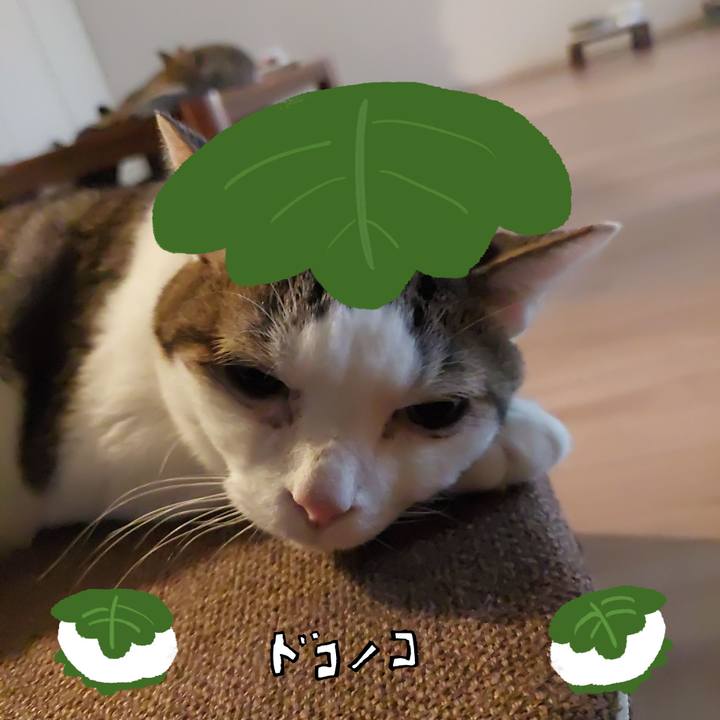 F83822ec 31ba 4798 afac c6a1edb4a565 1749325809327