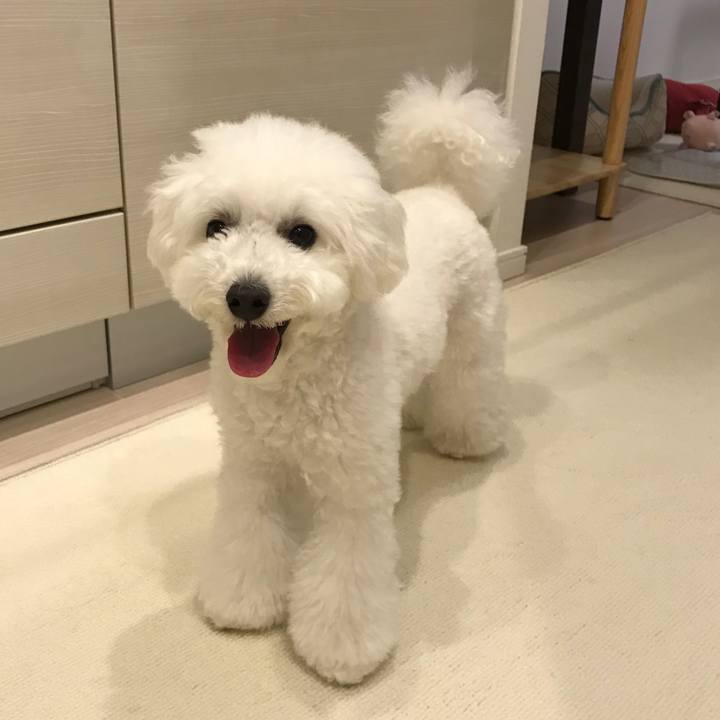 F838465c dd43 4c1d b63f 9f006377de8d 1528789392970