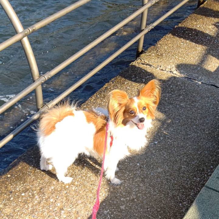 F8386318 3070 400f b051 a26a5cba82b2 1729007539352