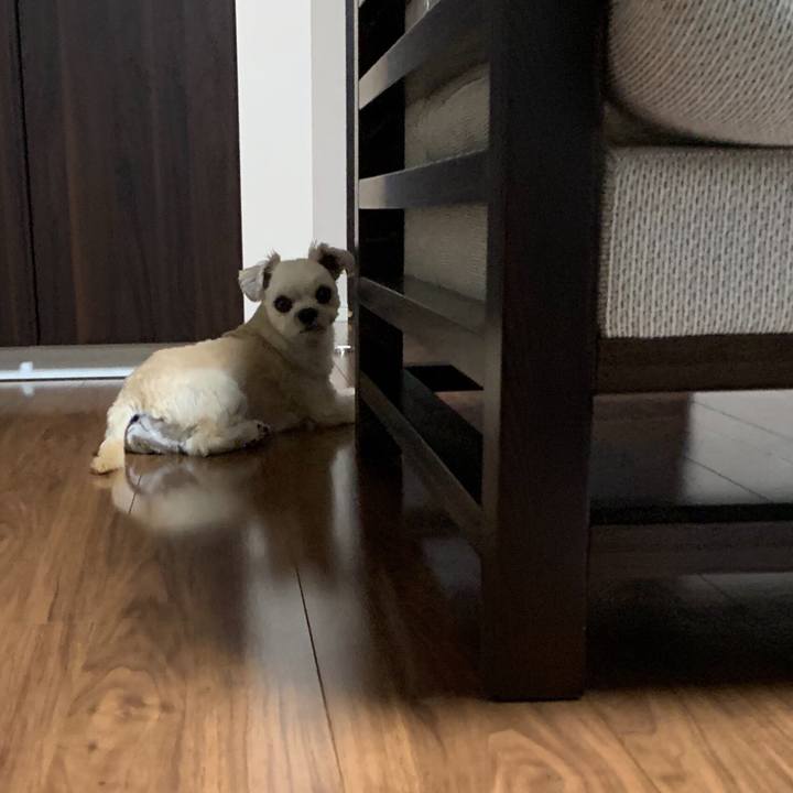 F8387f75 547e 4663 ab7d d9927aa6b824 1568290369117