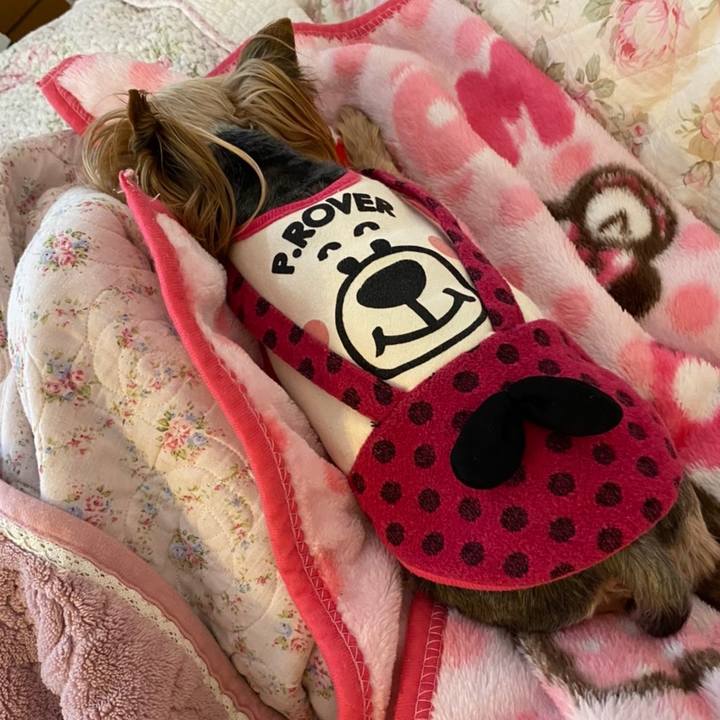 F83896eb ba74 47c4 8b13 8592b148aa1e 1643609205259