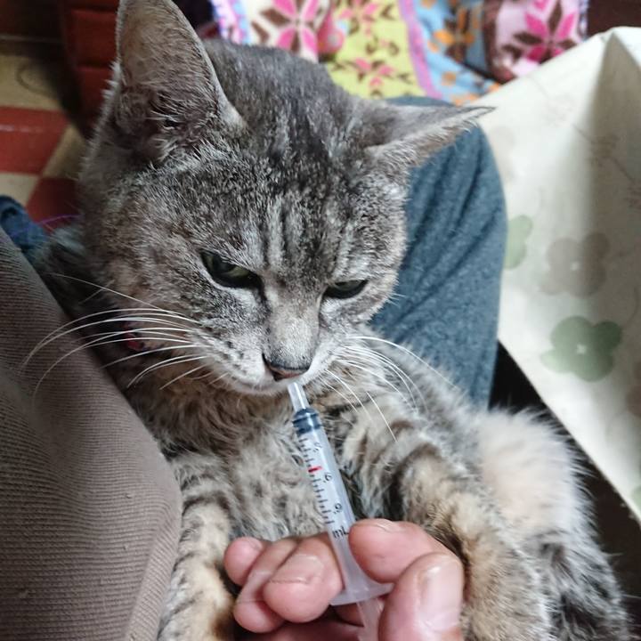 F838ba8a d56e 445c 9c8f 041af09531f2 1584658925675