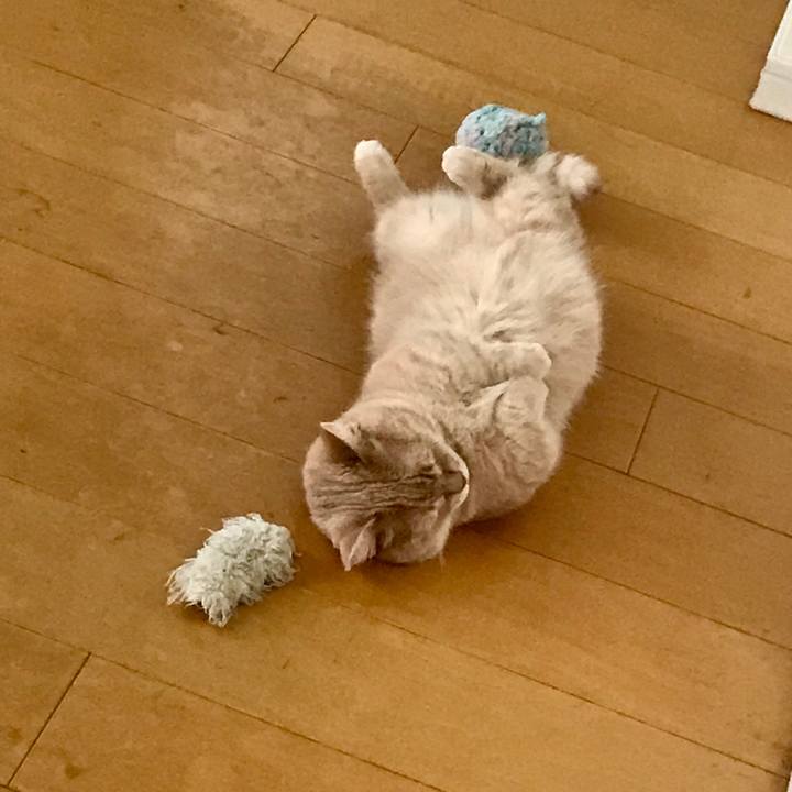 F838d433 d283 4935 833b a479bfd13932 1569759090007