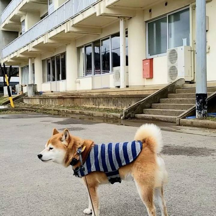 F838f5a5 5698 40e5 a52d 05bc966e7020 1581911634251