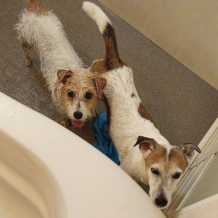 F838f733 b532 4255 94e0 d9789c53dcb0 1578805081402