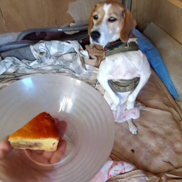 F8390168 6d4f 4e49 bcea 00642399a646 1698751024468