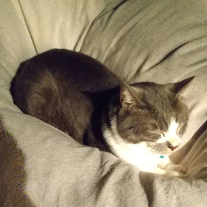 F8393ef5 8a23 4617 831a c7d2ca35db58 1638063227348