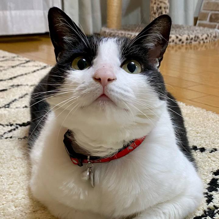 F8398019 68d6 4eff 8c3a 5ea27b934eac 1719661856061