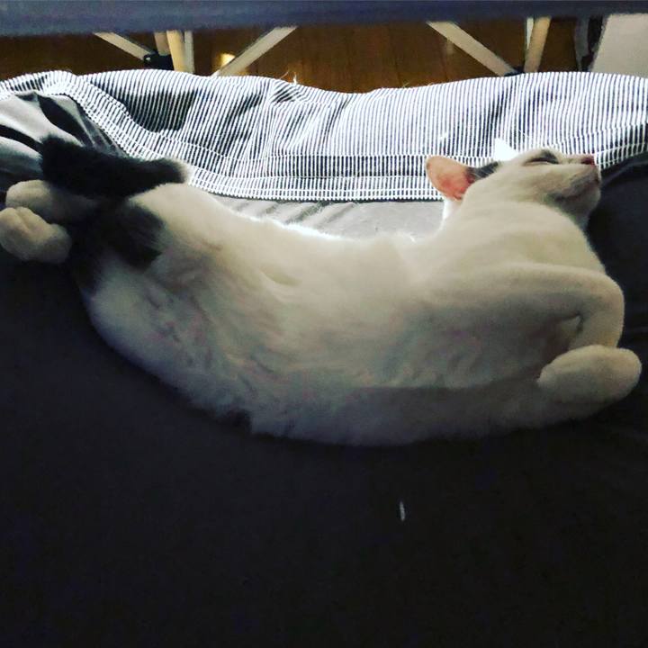 F839bd39 d5f6 438a 89bf 8fec3f444742 1553737755498