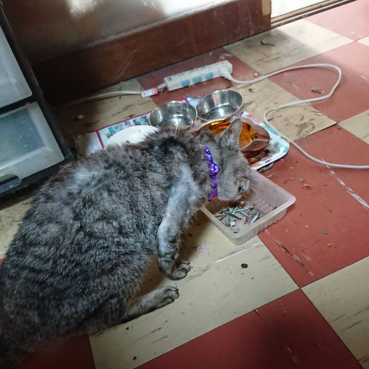 F839c4f3 3937 42df a5b3 158292dafbb3 1596579802472