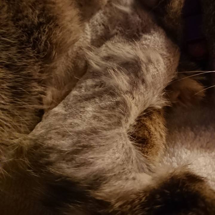 F839d516 9294 4066 9aab 10d6a6dac6fa 1591007512971