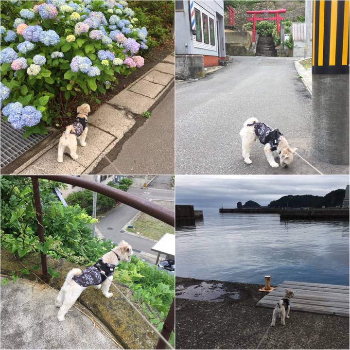 F839ebd6 8064 4c6b a964 17c7848ebcc9 1530401632319