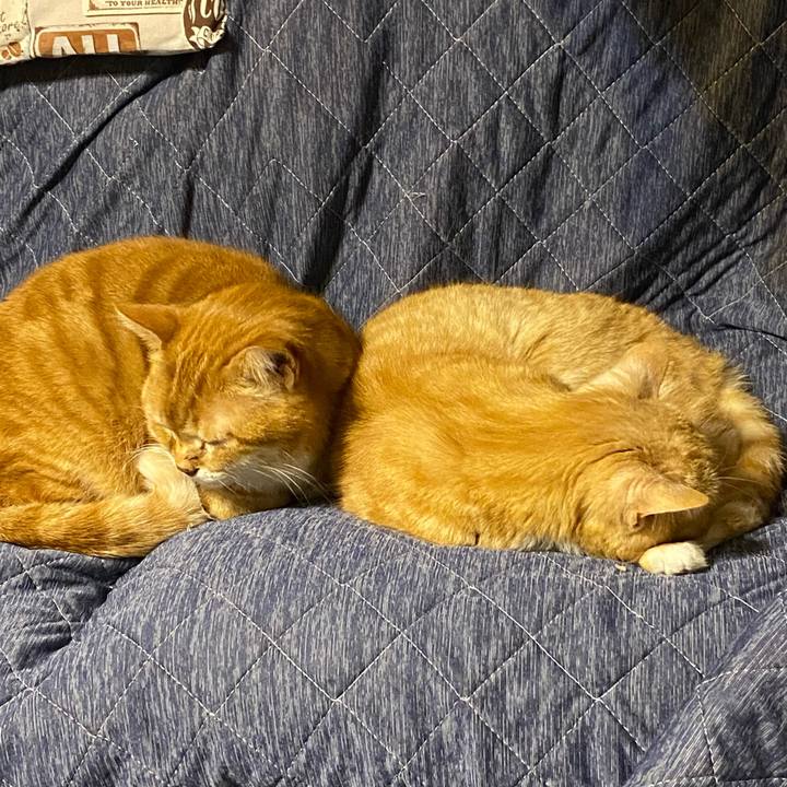 F839ec5f a454 40f4 89d8 d5de90d5247f 1618570689556