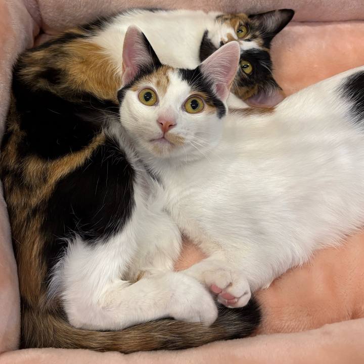 F839f343 2782 40e4 9cb4 ccb290d3539b 1768554926557