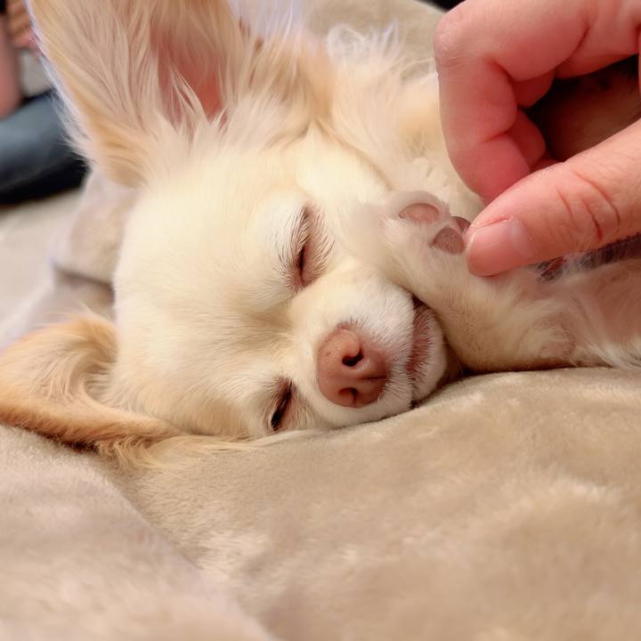 F839f5f7 a4bd 4a4e 8b95 fa0c16fe1645 1713702260209