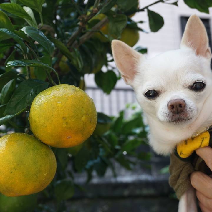 F839f9d1 6f89 427f 9a65 bd4a36e37f4c 1540618249694