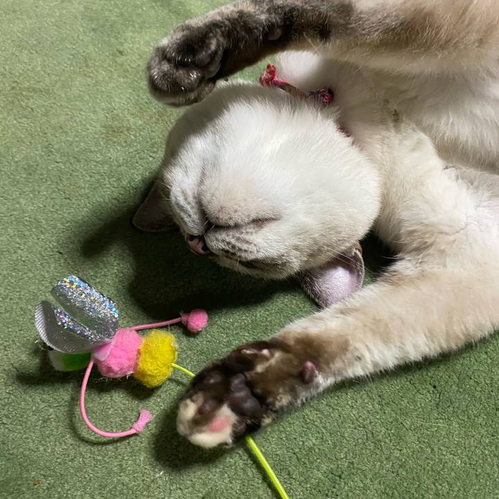 F83a15ac fff6 41c1 b0be 3f7c064d24a0 1730280467262