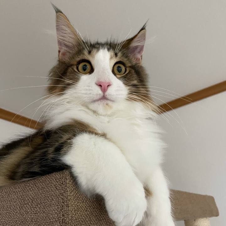 F83a4e65 4f2f 41a8 b91f 283b578fe165 1636495218046