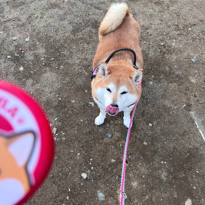 F83a87f8 424b 432b 9e3e 008131560dc7 1702798001601