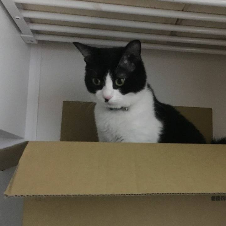 F83a8b02 42b7 4bab b74f 7e6e927d88d2 1535244817495