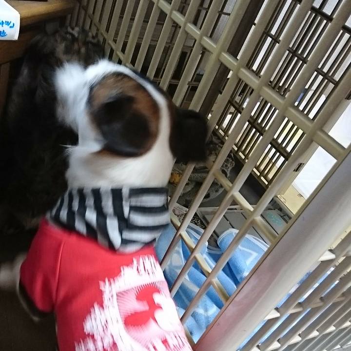 F83ac222 4a31 4d0a b177 c7d7f8af3dbc 1521988724571